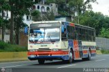 Transporte Unido (VAL - MCY - CCS - SFP) 052, por Pablo Acevedo