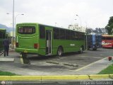 Metrobus Caracas 809, por Edgardo Gonzlez