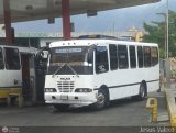 S.C. Lnea Transporte Expresos Del Chama 900 por Jesus Valero