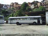 Transporte El Llanito 20, por Edgardo Gonzlez