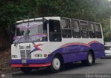 Transporte Privado Joaranny 195, por Dilan Noguera