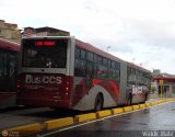 Bus CCS 1005, por Waldir Mata