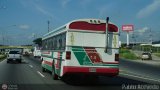 Autobuses de Tinaquillo 01 por Pablo Acevedo