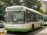 Bus CCS Materfer 23 
