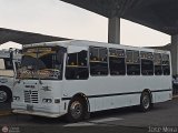 A.C. Lnea Autobuses Por Puesto Unin La Fra 50, por Jos Mora