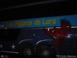 Los Pjaros de Lara 003 por J. Carlos Gmez