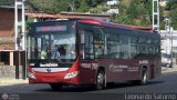 Bus Mrida 39 por Leonardo Saturno