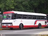 A.C. de Transporte Sol de Tamanaco 41 Thomas Built Buses Saf-T-Liner ER  