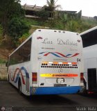 Transporte Las Delicias C.A. E-04, por Waldir Mata