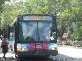 Miami-Dade County Transit 04123 NABI 40LFW Detroit Diesel Series 50EGR