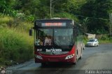 Bus Tchira 27, por Pablo Acevedo