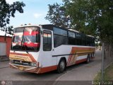 Particular o Transporte de Personal 23 CAndinas - Carroceras Andinas U1300 Pegaso 5231