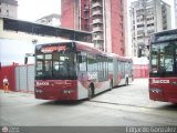 Bus CCS 1007, por Edgardo Gonzlez