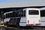 Autobuses de Barinas 040, por Andrs Ascanio