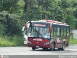 Bus Tchira 21, por Pablo Acevedo