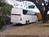 Servicios Especiales del Centro 10, por Alvin Rondon