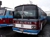 Transporte Las Delicias C.A. 01