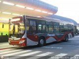 Metrobus Caracas 1206