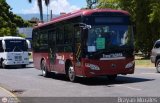Bus Tchira 04, por Brayan Morales 