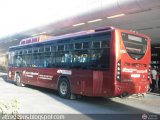 Sistema Integral de Transporte Superficial S.A 6736, por alfredobus.blogspot.com