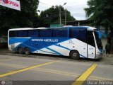 Expresos Amerlujo 417 por Oscar Primera