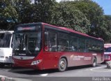 Bus Vargas 6878