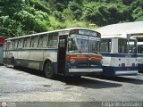 DC - Autobuses de Antimano 204, por Edgardo Gonzlez