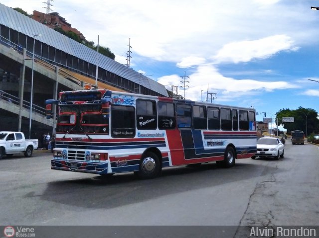 Expresos Pegamar 0010 por Alvin Rond�n