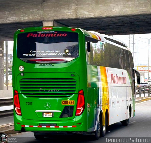 Expreso Internacional Palomino 7057 por Leonardo Saturno