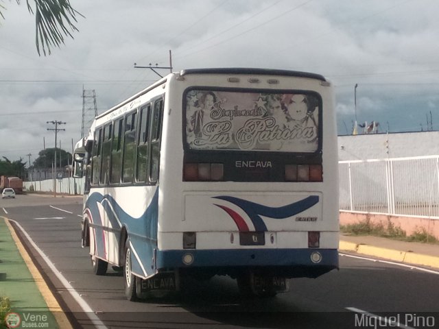 Particular o Desconocido 031 por Miguel Pino