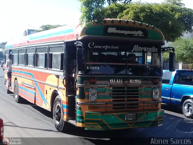 ZU - Colectivos Concepcin 059 por Abner Sarcos