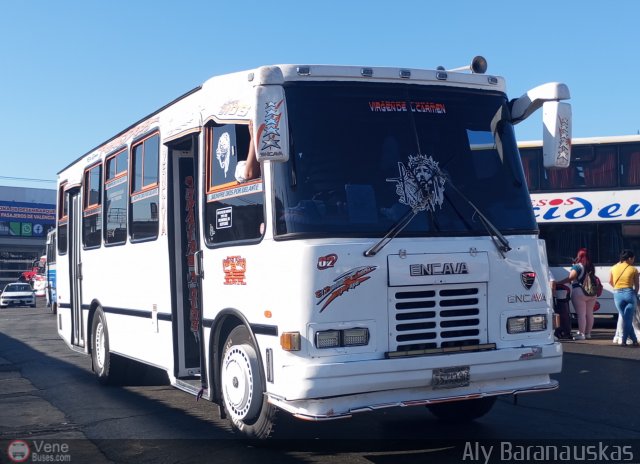 Transporte Virgen del Carmen 62 por Aly Baranauskas