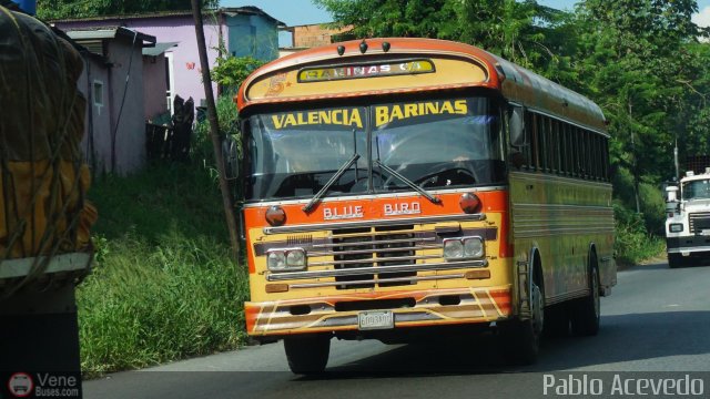 Autobuses de Barinas 005 por Pablo Acevedo