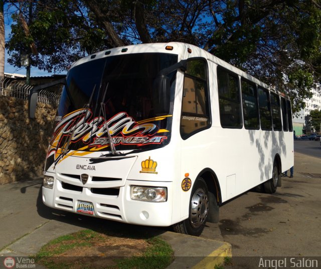 Organizacin Guaicamacuto 194 por ngel Saln