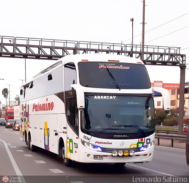 Expreso Internacional Palomino 7034 por Leonardo Saturno