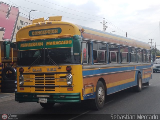 ZU - Colectivos Concepcin 095 por Sebastin Mercado