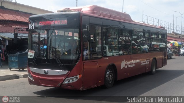 Bus MetroMara 081 por Sebastin Mercado