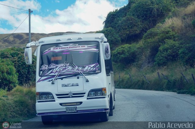 L�nea Cultura 25 por Pablo Acevedo