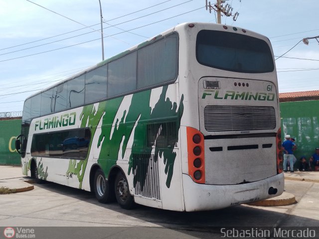 Expresos Flamingo 0061 por Sebastin Mercado