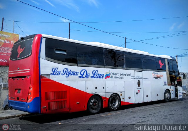 Los P�jaros de Lara 2020 por Santiago Dorante