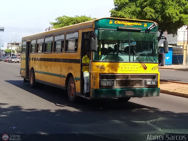 ZU - Colectivos Concepci�n 062 por Abner Sarcos