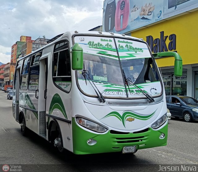 TA - A.C. Lnea Hato de La Virgen 11 por Jerson Nova