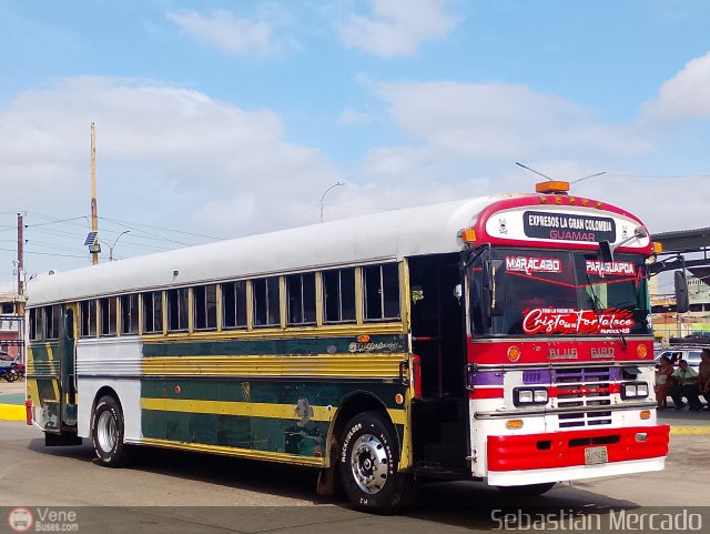 Expresos La Gran Colombia 37 por Sebastin Mercado