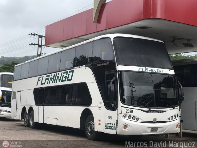 Expresos Flamingo 2020 por Marcos David M�rquez