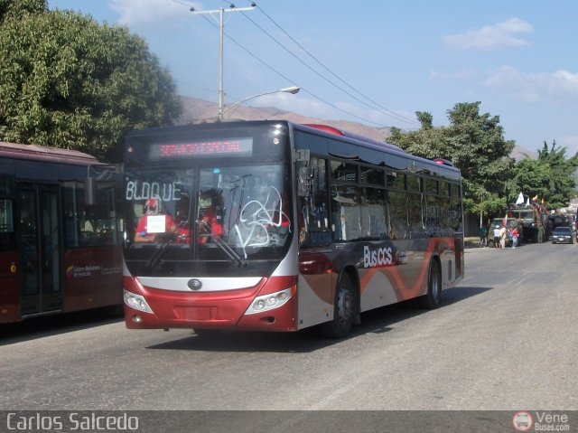 Bus CCS 1263 por Carlos Salcedo