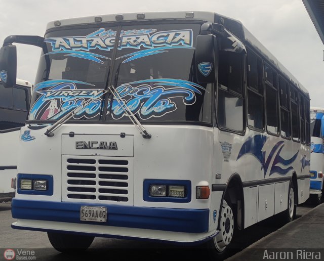 L�nea Altagracia 55 por Aaron Riera