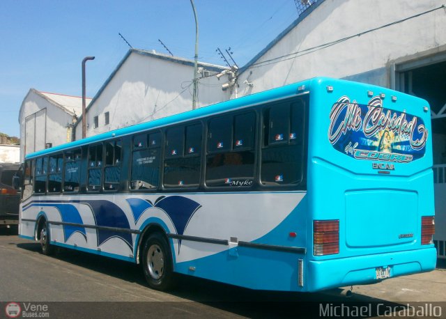 Organizacin Guaicamacuto 330 por Michael Caraballo