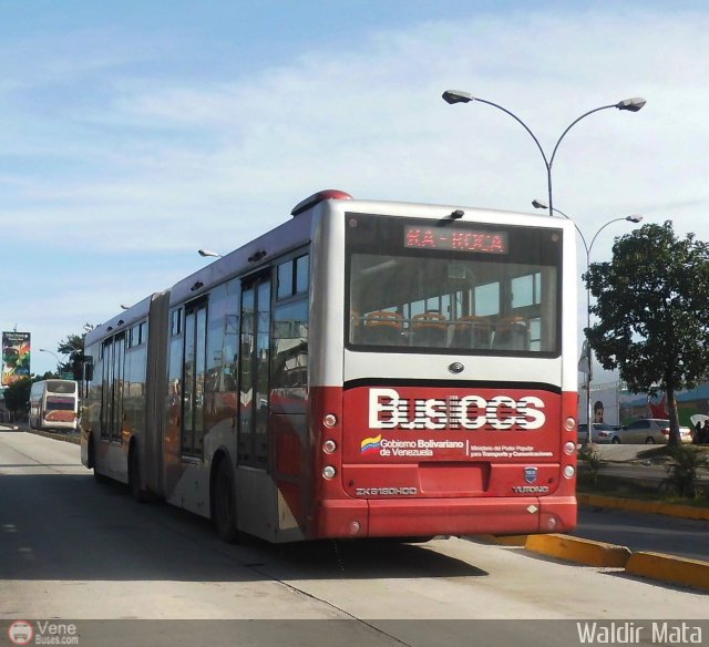 Bus CCS 1019 por Waldir Mata