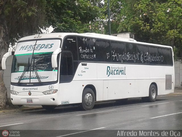Transporte Bucaral 14 por Alfredo Montes de Oca