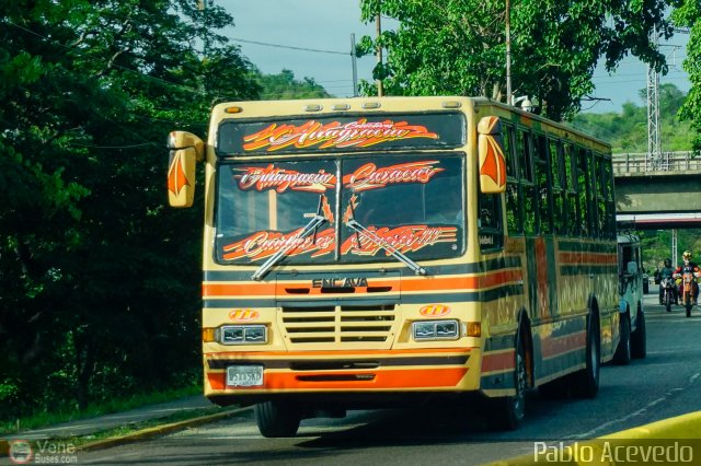 Colectivos Altagracia 11 por Pablo Acevedo